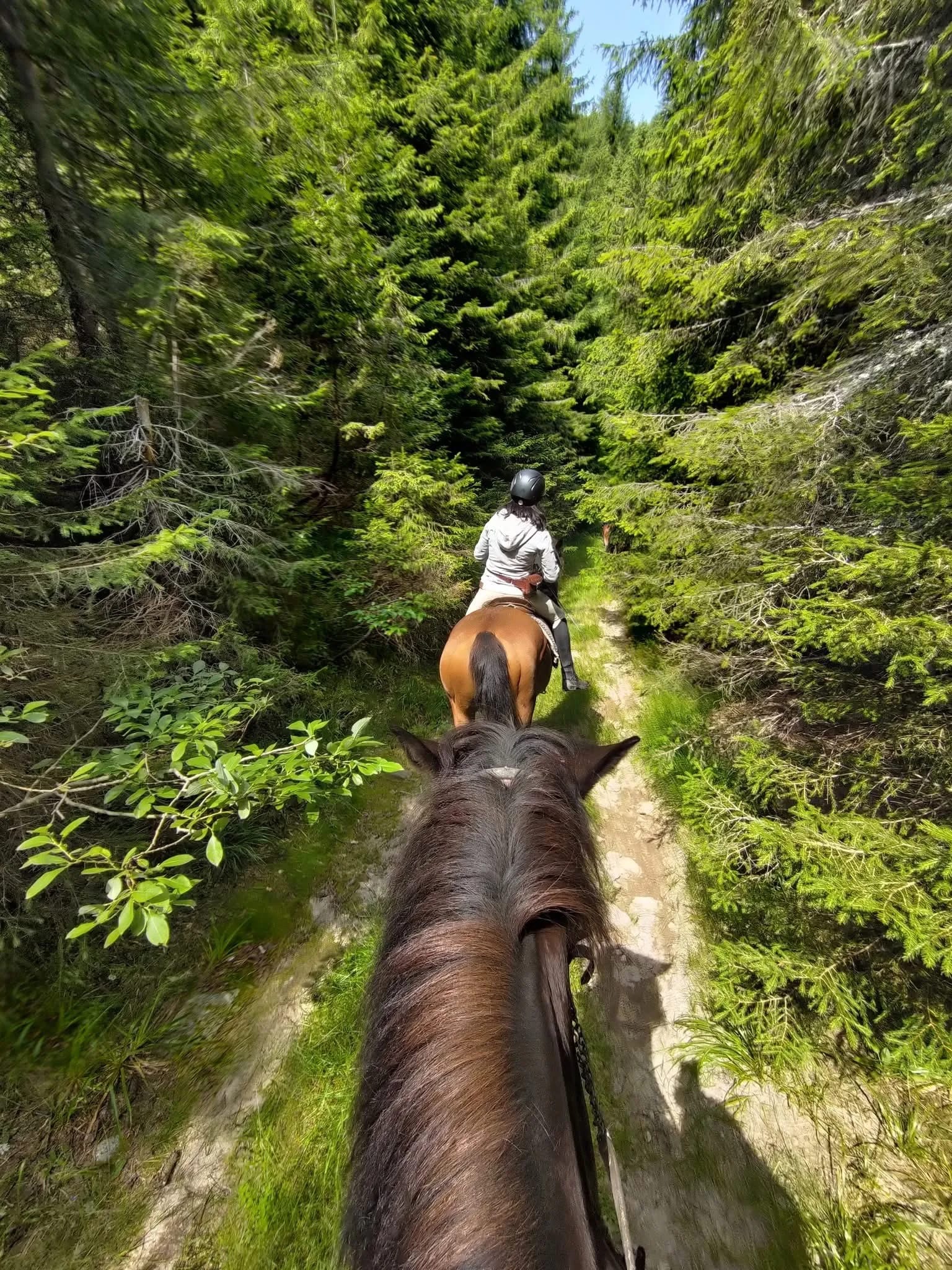 Забавления - Снимка 5