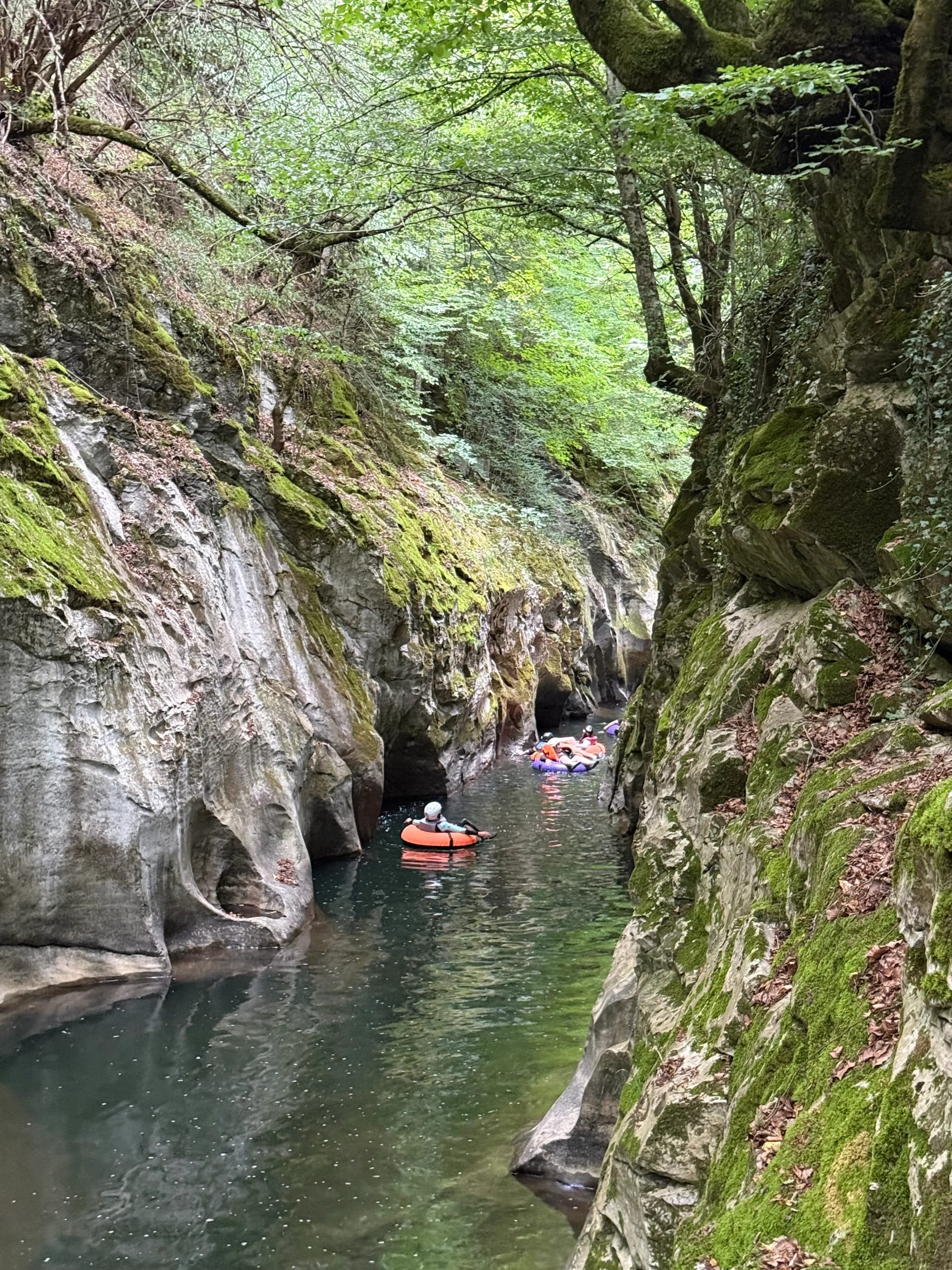 Забавления - Снимка 2