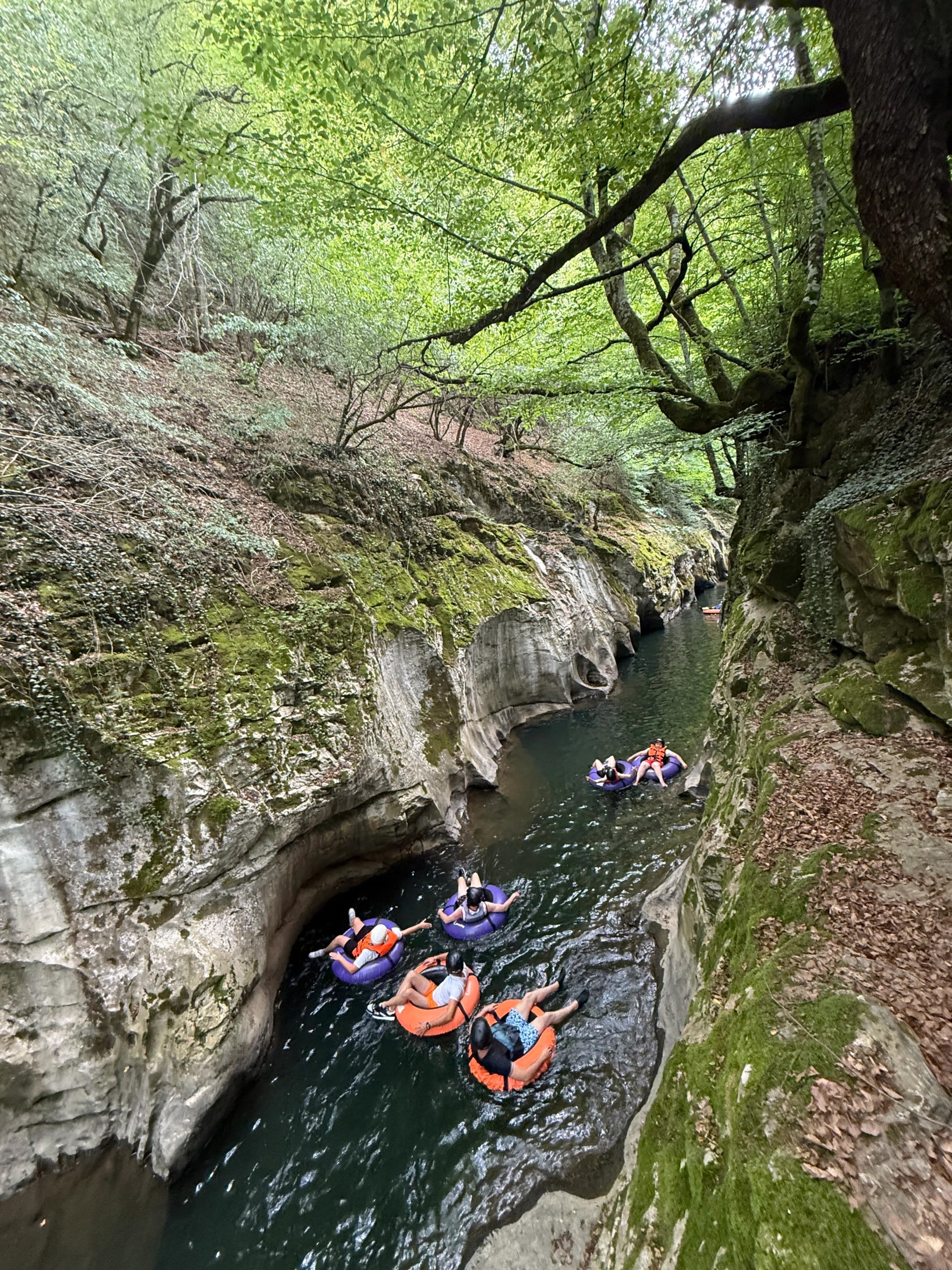 Забавления - 1